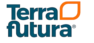 Consultor de infraestructura de TI